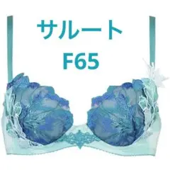 新品 サルート F65 ブラジャー ワコール プッシュアップブラ