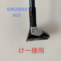 SIM2 MAX 6UT