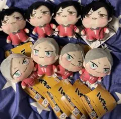 ＊ハイキュー ちょぴぬいぷち 灰羽リエーフ 黒尾鉄朗＊8体セット