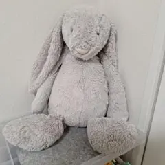 ジェリーキャット♡バッシュフルバニー