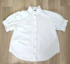 Item thumbnail for item e86c1506-44ab-4bba-9f38-43c8008a2561