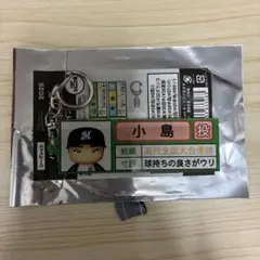 パワプロマリーンズ　小島　栄冠ナイン