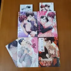 いつわりの愛４特典付き&今夜、めちゃくちゃに抱きます 上下&寧々の結婚