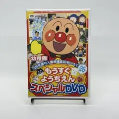 ★レア★もうすぐようちえん スペシャルDVD 付録
