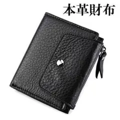 Item thumbnail for item 36b9118c-3a46-4217-bd77-d1300fa5996d