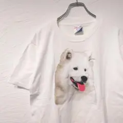 00年代 アメリカ製　サモエドドッグ　白　犬Tシャツ