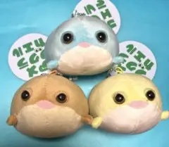 アメフクラガエル　マスコットぬいぐるみ　3種