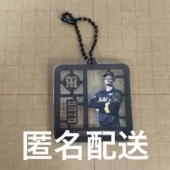 【阪神百貨店限定】 阪神タイガース サトテル ブラックダイナマイト アクキー