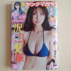 ヤングマガジン 最新号