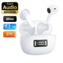 Item thumbnail for item 8056c769-e45d-4ccb-8adf-17a123ad3c28