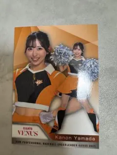 Item thumbnail for item 3445bb93-3d43-4ae4-b901-f6a4ebdad1e9