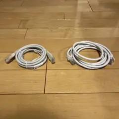 LANケーブル RJ45コネクタ 2本セット 2m