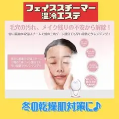 ⭐️新品未使用⭐️フェイススチーマー ナノスチーム スチーマー美顔器 温冷エステ