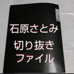最終値下げ❰貴重❱ 石原さとみ 切り抜きファイル1冊 19冊分 38枚