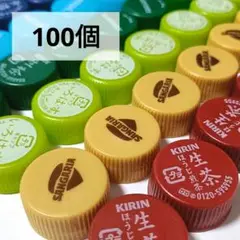 【匿名配送】ペットボトルのキャップ　カラフル　ダークレインボー　虹色100個　④