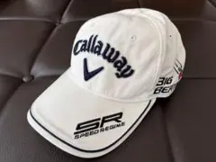 Item thumbnail for item 147235e9-675f-423b-9e78-6a46ab13f673