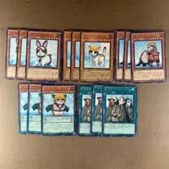 No.9048 遊戯王 遊戯王 レスキューラビット レスキューキャット 他