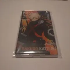僕のヒーローアカデミア　爆豪勝己