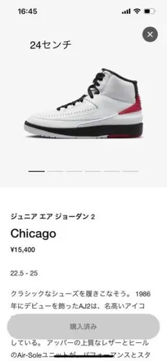 Nike GS AirJordan2 RetroOG