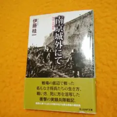 南京城外にて