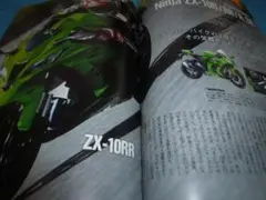 Item thumbnail for item 46cff895-4fbd-4624-9779-c91b9373a1ef