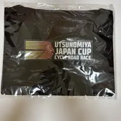 Item thumbnail for item 74a709fd-64ca-4dda-bbf5-e1998287ab85