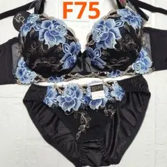 【新品未使用】格安！ブラショーツセット F75 942401 黒 フェミニン
