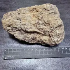 Item thumbnail for item 149f2443-afb0-43bc-9504-2a6d8260db3e