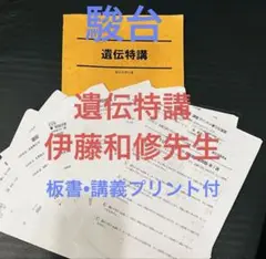 WK25-118 駿台 生物 代謝・遺伝子特講 テキスト 2023 伊藤和修 13m0D WK25-118 駿台 生物 代謝・遺伝子特講 テキスト 2023 伊藤和修