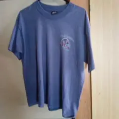 フルーツオブザルーム BEST Tシャツ