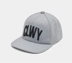 Item thumbnail for item 14a5aac8-24e2-4c04-a3f6-4e832065e78d