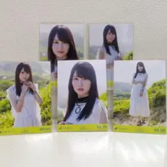 Item thumbnail for item bbec244b-cfd0-4b59-88a2-38e5381cff4d