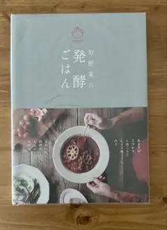 旬野菜の発酵ごはん