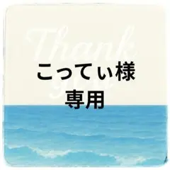 【こってぃ様ご確認用】