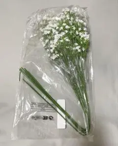 Item thumbnail for item bdef5d52-6884-4e5d-844b-b6bfcbcad4a2