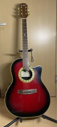 プロマーティン エレアコ Pro Martin EA350BLS Pro Martin EA350BLS - turugi-punkの日記