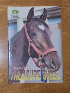 岩手競馬 トレジャースマイルのクリアファイル