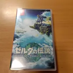 ゼルダの伝説 TEARS OF THE KINGDOM