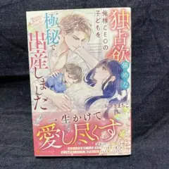 5月新刊/独占欲強めな俺様CEOの子どもを極秘で出産しました
