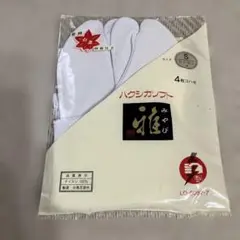 Item thumbnail for item c8407e82-b7ea-4945-8542-5dbd6efbea10