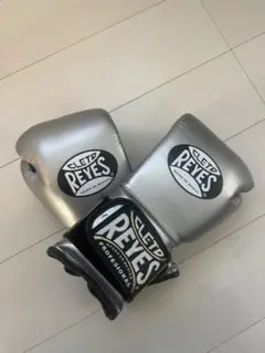 レイジェス14オンスグローブ 新品です!!