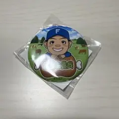 ファイターズ 肉祭り ガチャ 齋藤友貴哉