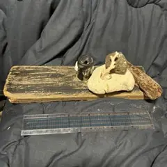 Item thumbnail for item 9714ec5f-4ff3-414e-84b6-e341742bb88c