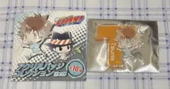 家庭教師ヒットマンREBORN　リボーン　アクリルバッジ　第2弾　沢田綱吉