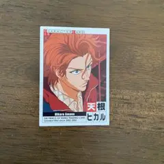 テニプリ トレーディングカード 天根ヒカル