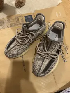 アディダスYeezy bost 350 V2/スニーカー グレー