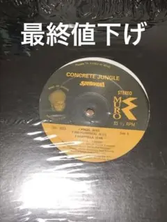 muro 当時物 レア音源 12インチ コンクリートジャングル 日本語ラップ