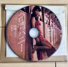 馬場ふみかDVD台湾ハニー 週間プレイボーイ特別付録