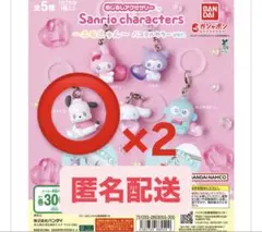 サンリオキャラクターズエモきゅん めじるしアクセサリーポチャッコ2点セット