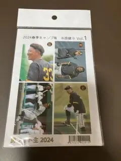 虎フォト生　糸原健斗　2024春期キャンプ